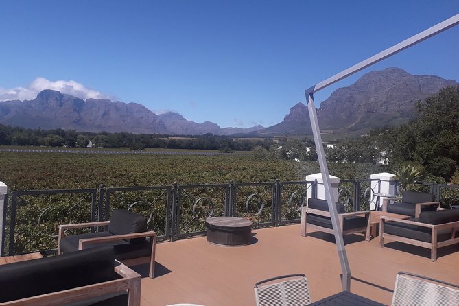 From CapeTown: Stellenbosch Half Day Wine Tour - The cellar element: a little more than tasting