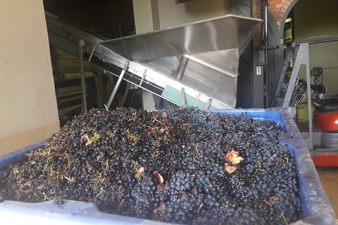 From CapeTown: Stellenbosch Half Day Wine Tour - The ride from Cape Town to Suider Paarl