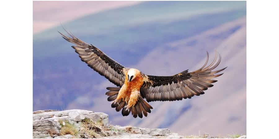 From Durban: 2-Day Lesotho Guided Trip with Lodging & Meals - Key Points Before You Book