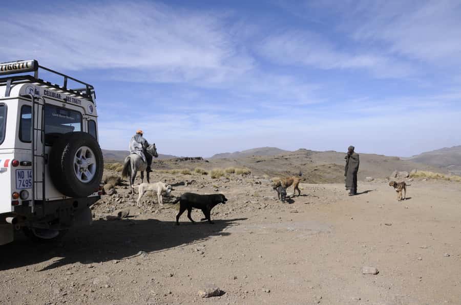 From Durban: Sani Pass and Lesotho by 4WD Vehicle - How much value do you get for $242?
