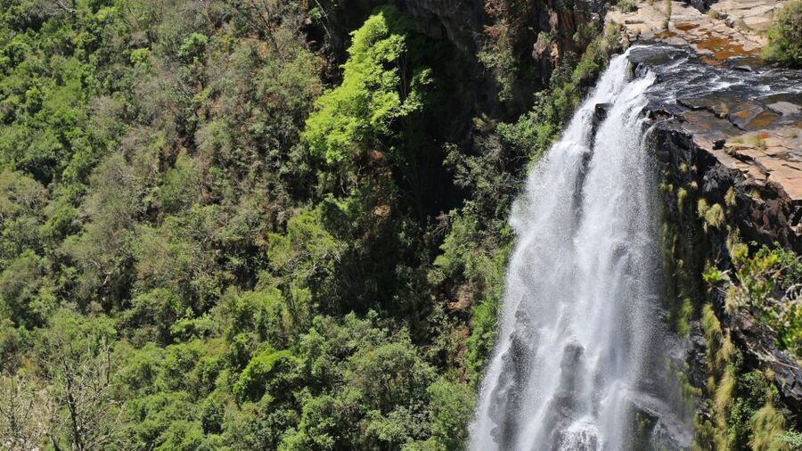 From Hazyview: Blyde River Canyon Highlight & Boat Cruise - A full day from Hazyview to the canyon