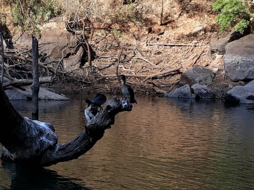 From Hazyview: Blyde River Canyon Highlight & Boat Cruise - Bourkes Luck potholes, where two rivers shape the rock