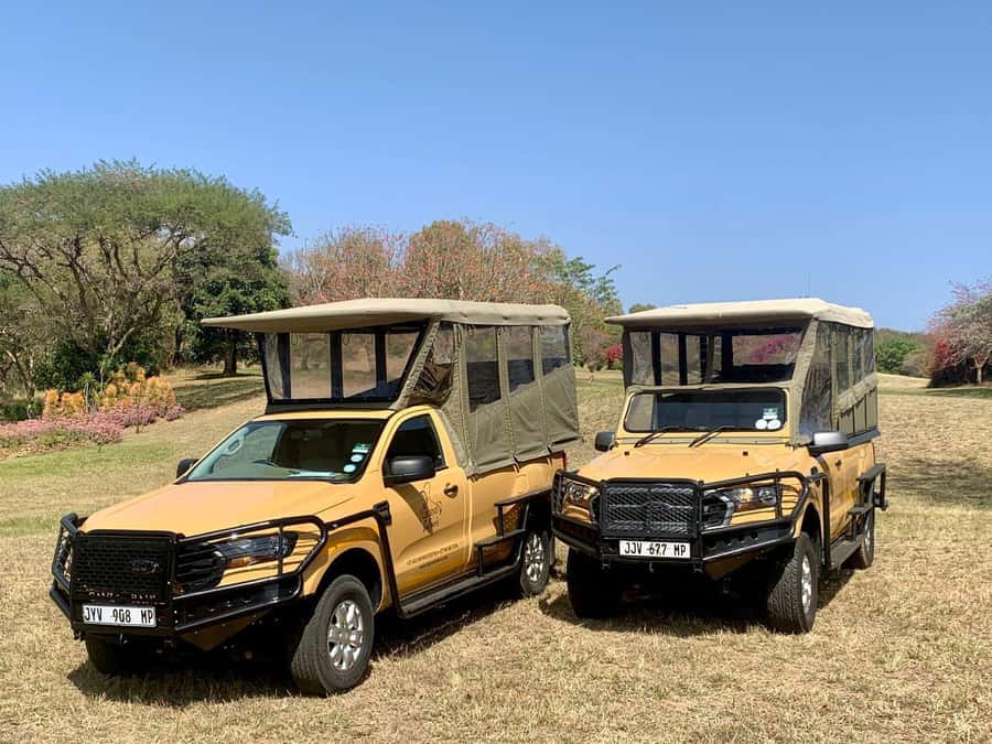 From Hazyview: Kruger National Park Full-Day Safari - Reaching Kruger Through Phabeni Gate