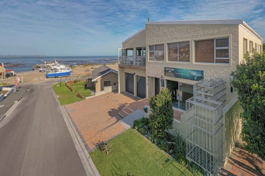 From Hermanus or Cape Town: Shark Cage Diving Experience - What you are really paying for