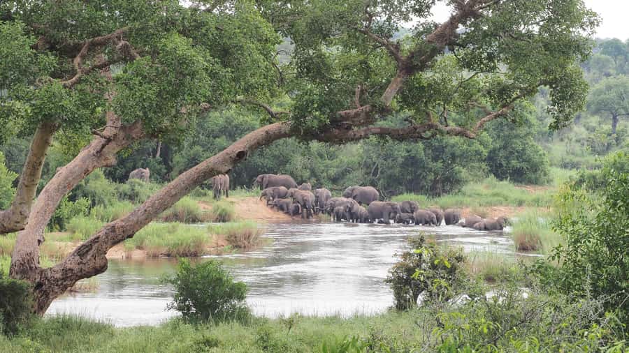 From Johannesburg: 2-Day Safari into Kruger National Park - Who should choose this two-day format?