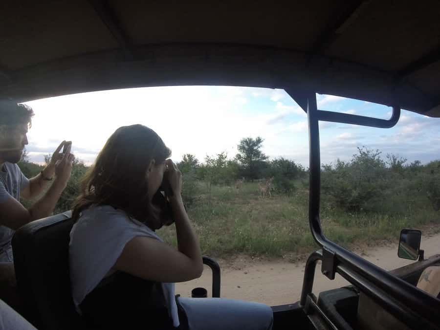 From Johannesburg: 3-Day Budget Tent Kruger Park Safari - Key points before you book