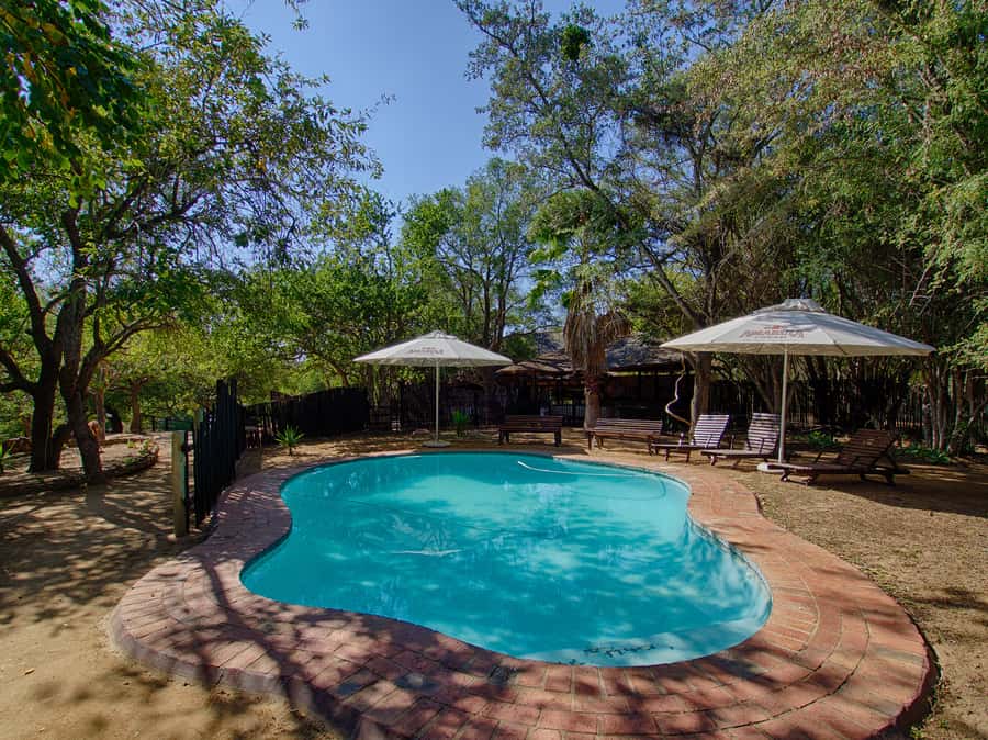 From Johannesburg: 3-Day Budget Tent Kruger Park Safari - What you should pack and arrange