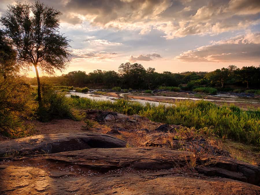 From Johannesburg: 3-Day Budget Tent Kruger Park Safari - Sunset in Balule, then dinner under the stars