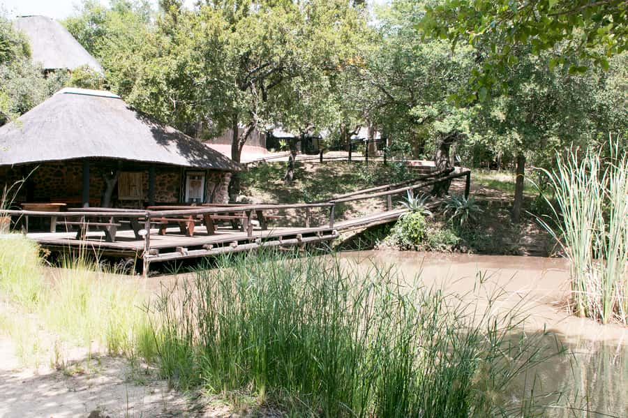 From Johannesburg: 3-Day Budget Tent Kruger Park Safari - A full wildlife day at Orpen in Kruger