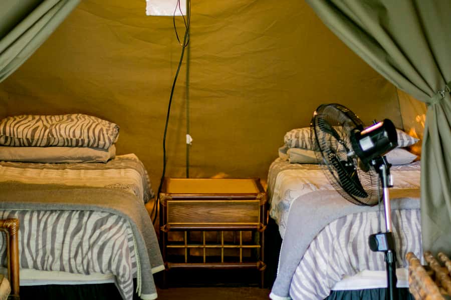From Johannesburg: 3-Day Budget Tent Kruger Park Safari - Food, comfort, and group size