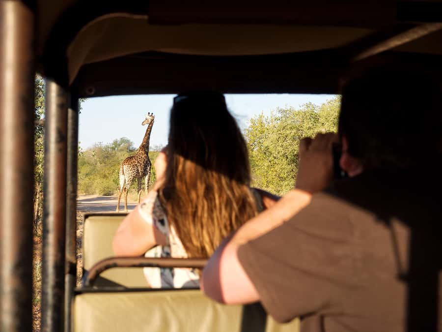 From Johannesburg: 3-Day Budget Tent Kruger Park Safari - Leaving Johannesburg for Tremisana