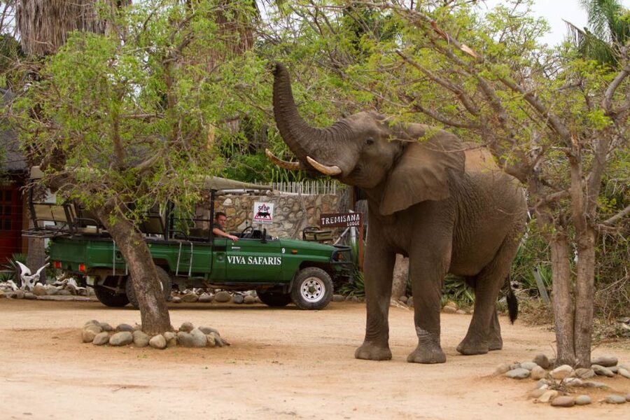 From Johannesburg: 6-Day Classic Kruger National Park Safari - What is included, and where the value lies