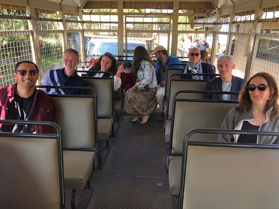 From Johannesburg: Cradle of Humankind and Lion Safari - Should you book the Lion Safari and Cradle of Humankind tour?