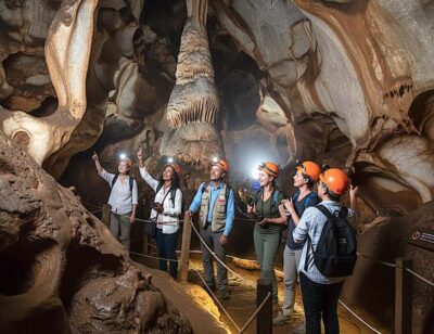 Cradle of Humankind and Lion Safari