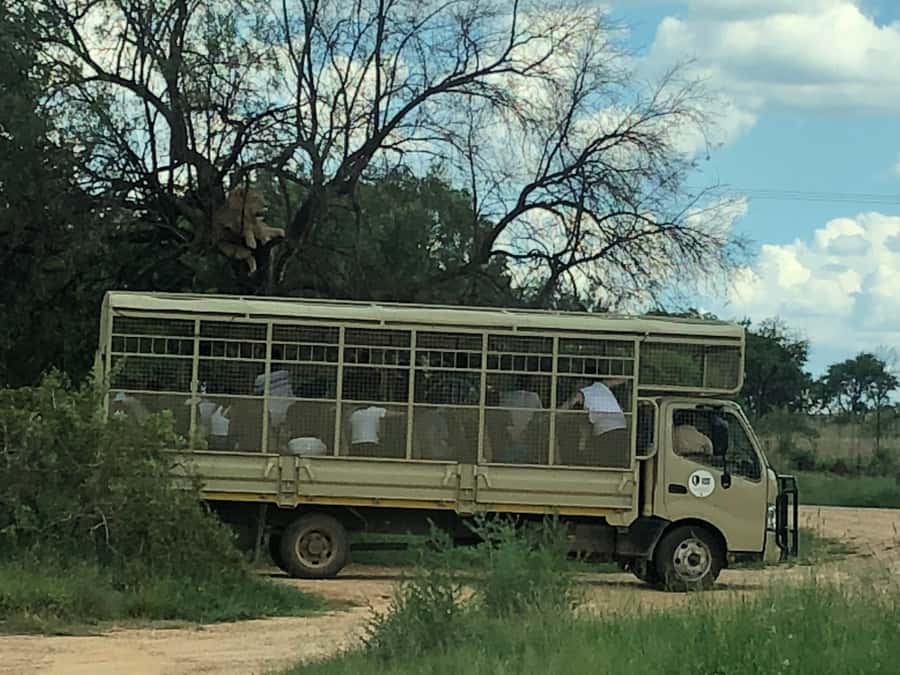 From Johannesburg: Cradle of Humankind and Lion Safari - Maropeng makes the Cradle easier to understand
