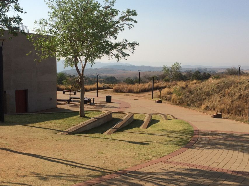 From Johannesburg: Cradle of Humankind and Lion Safari - Practical value at $224 per person