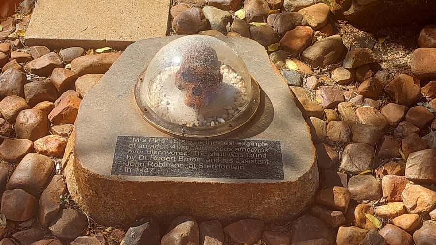 From Johannesburg: Cradle of Humankind Private Half-Day Tour - Key points at a glance
