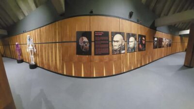 Cradle of Humankind Private Half-Day Tour