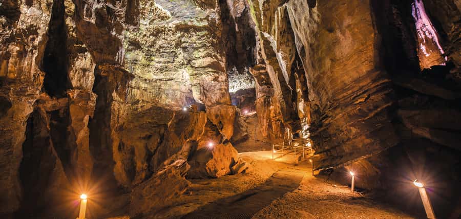 From Johannesburg: Cradle of Humankind Tour - The one-hour ride from Johannesburg