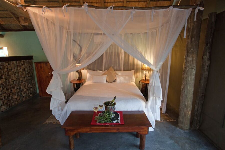 From Johannesburg: Kruger National Park 4-Day Luxury Safari - Day 2: A four-hour walk beside the Olifants River