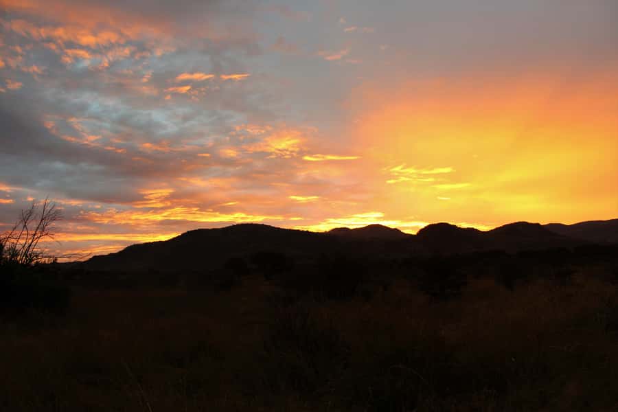 From Johannesburg: Pilanesberg Nature Reserve Game Safari - Who will enjoy this safari most?
