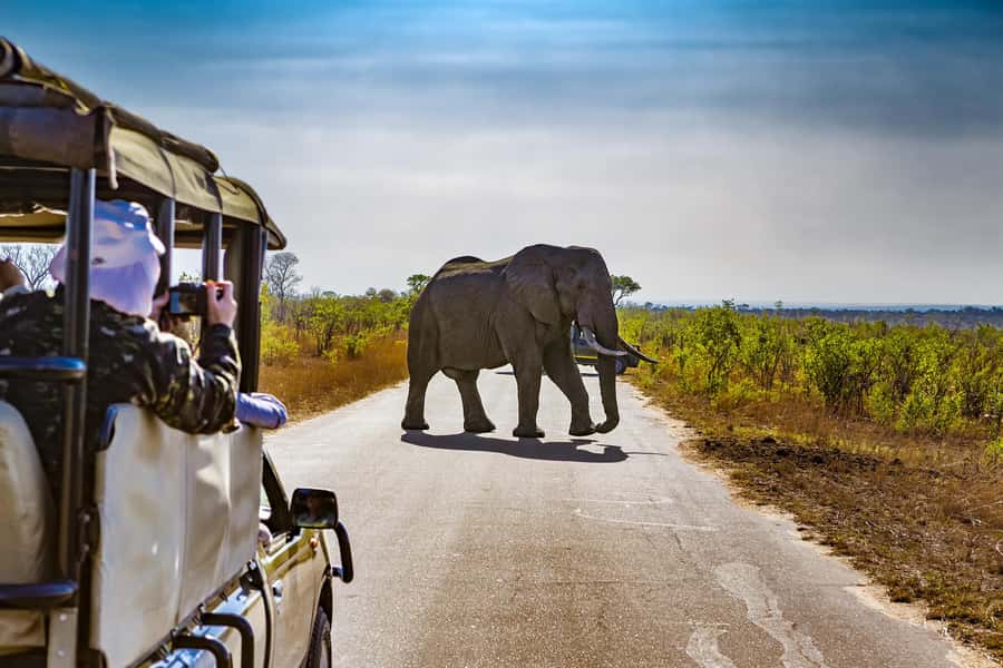 From Johannesburg: Pilanesberg Wildlife Safari - Key points to know before booking