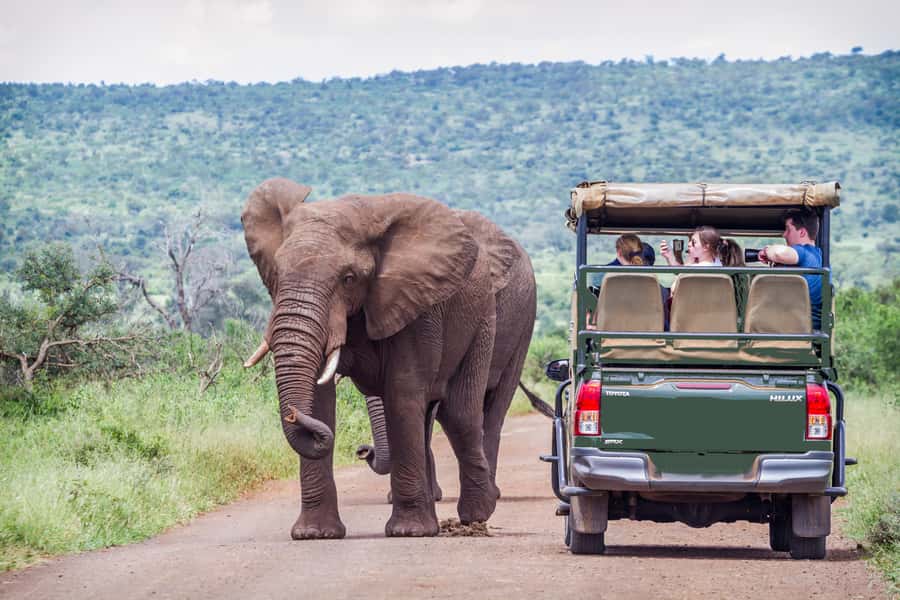 From Johannesburg: Pilanesberg Wildlife Safari - Why Pilanesberg makes a good Johannesburg safari