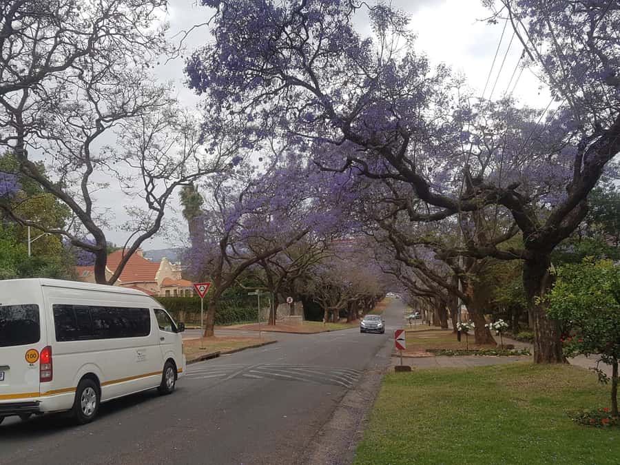 From Johannesburg: Pretoria Half Day Tour - Why Pretoria makes a worthwhile half-day from Johannesburg