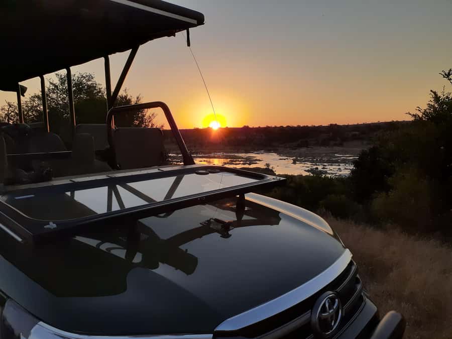 From Malelane: Half Day Kruger Park Wildlife Safari - Starting before sunrise at Malelane