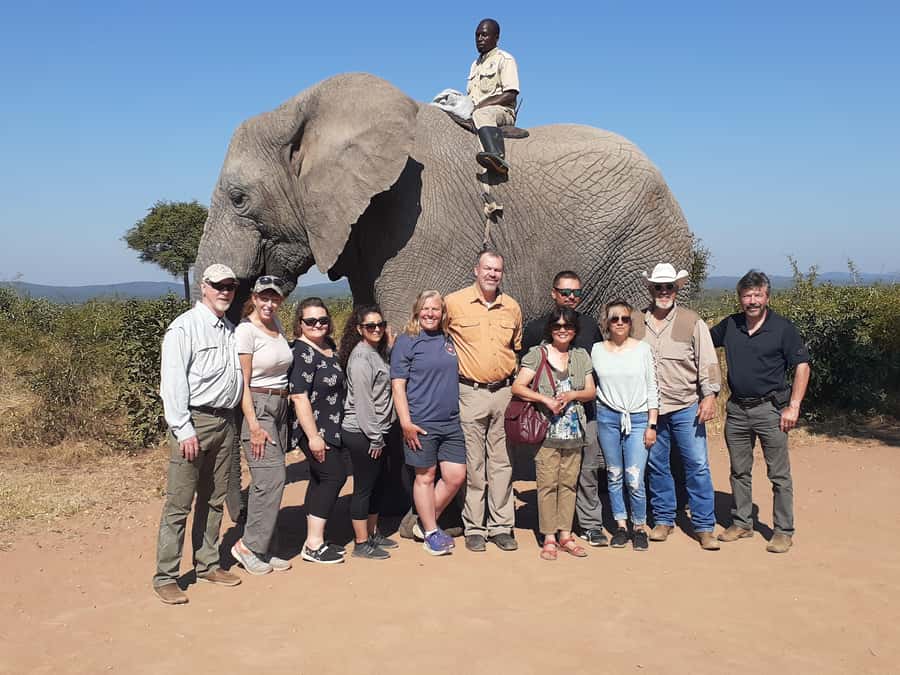 From Malelane: Half Day Kruger Park Wildlife Safari - A guide who listens to your animal priorities