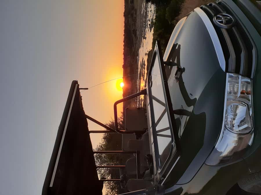 From Malelane: Kruger National Park Full-Day Safari - Changing Camps And The Midday Break