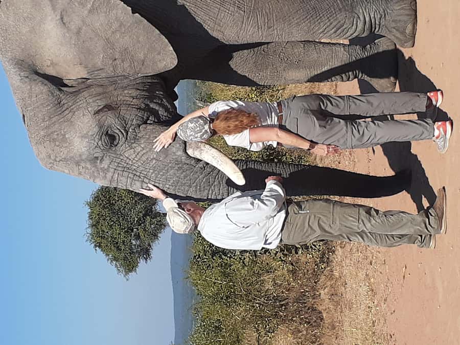 From Malelane: Kruger National Park Full-Day Safari - What The $137 Price Really Covers