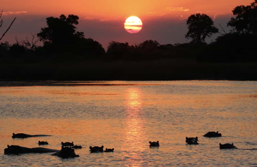 From Marloth Park: Sunset River Cruise Safari - Why This River Safari Feels Different