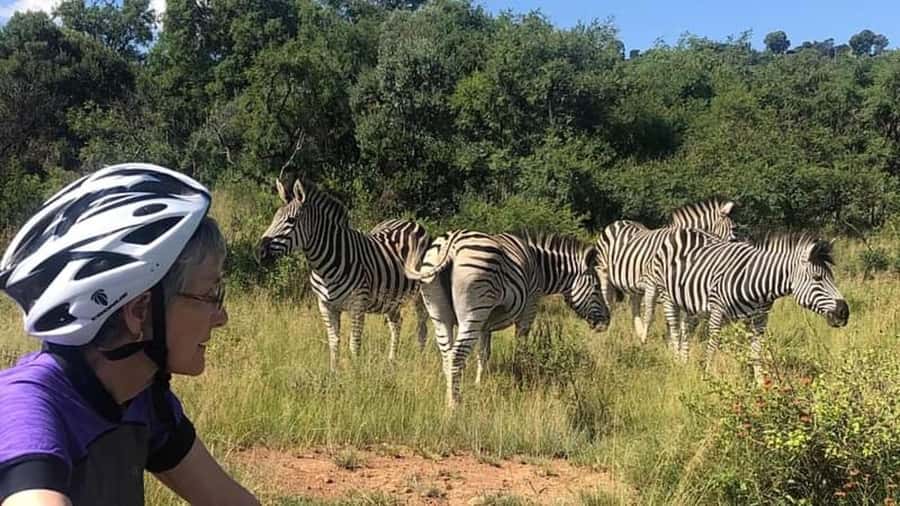 From Pretoria: E-Bike in the wild with game near Jo'burg - Starting at Groenkloof Nature Reserve