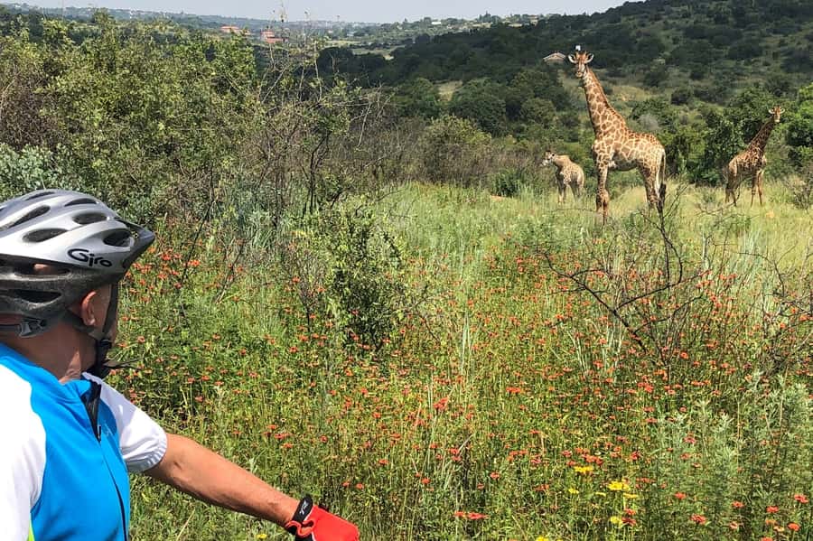 From Pretoria: E-Bike in the wild with game near Jo'burg - Looking for wildlife beside the road