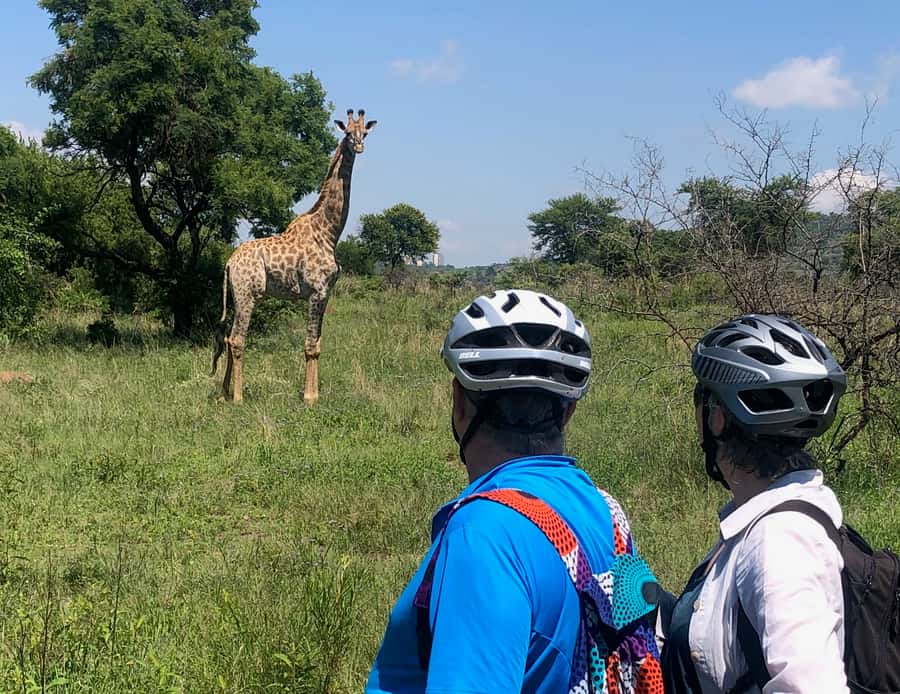From Pretoria: E-Bike in the wild with game near Jo'burg - Stories of springs, caves, and early settlement
