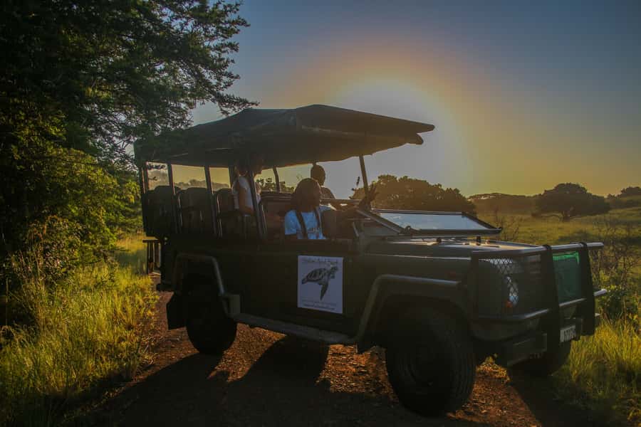 From St Lucia: Cape Vidal Full-Day Snorkeling Safari - Key points at a glance