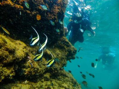 Cape Vidal Full-Day Snorkeling Safari