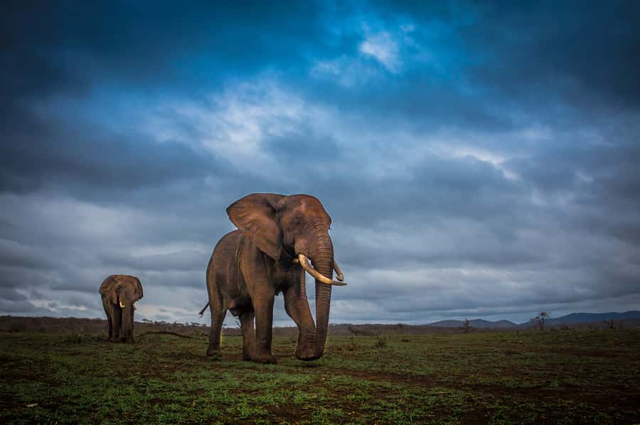 From St Lucia: iSimangaliso Sunset Safari - Why the Eastern Shores make a good sunset setting