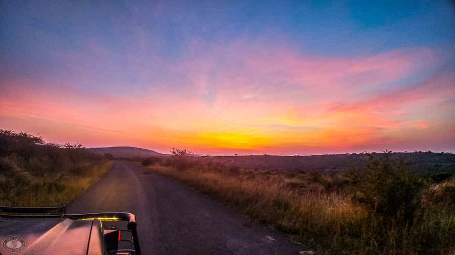 From St Lucia: iSimangaliso Sunset Safari - What the sunset changes on safari
