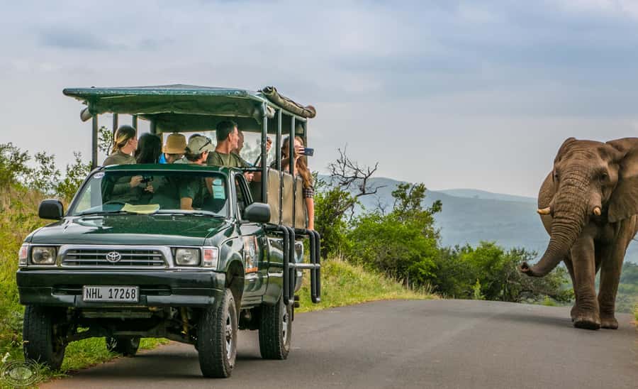 From St Lucia: iSimangaliso Sunset Safari - The value of $39 per person