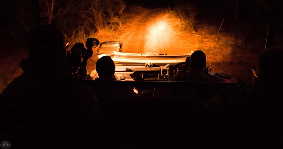From St Lucia: iSimangaliso Wetland Park Night Drive Safari - Why a night drive feels different in iSimangaliso