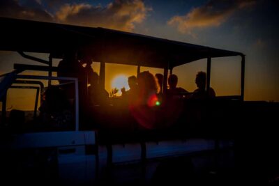 iSimangaliso Wetland Park Night Drive Safari