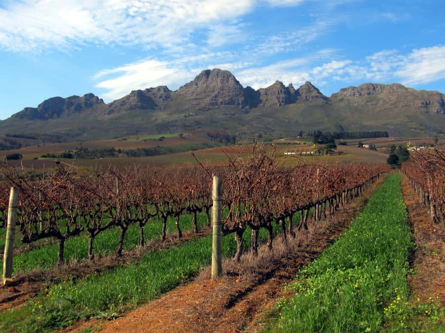 From Stellenbosch: Hop-On Hop-Off Wine Tour Southern Route - Key details before you book