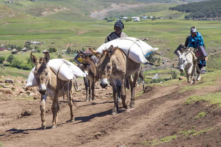 From Underberg: Extended Lesotho Day Tour - 9.5hrs - A viewpoint, a village, and freshly baked bread