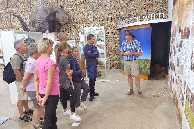 Full-Day Addo Elephant Park & Giraffe Walk - A South African braai in the middle of the day