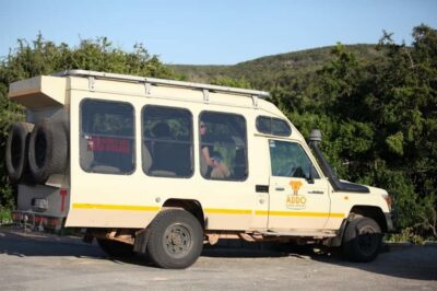 Full-Day All Inclusive Safari with Traditional Braai Lunch