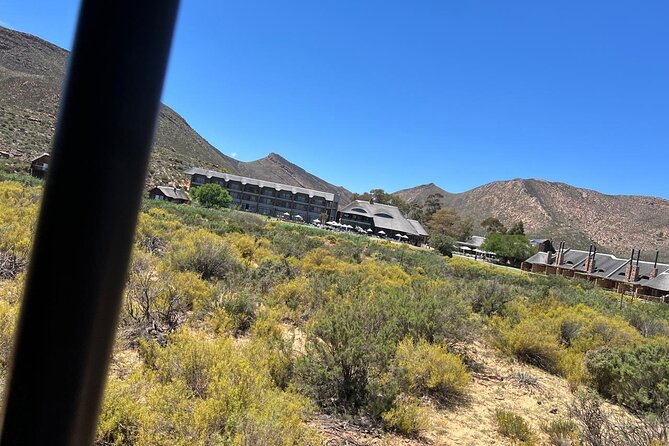 Full day Aquila Game Reserve Big 5 Safari with Wine Tasting Tour - Five hours at Aquila Game Reserve