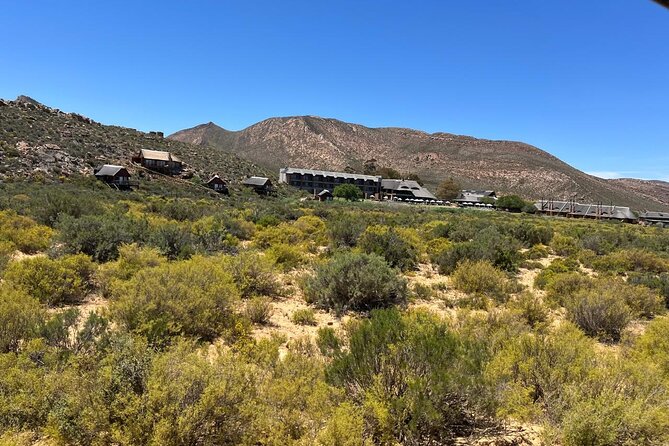 Full day Aquila Game Reserve Big 5 Safari with Wine Tasting Tour - The return drive and the real time commitment