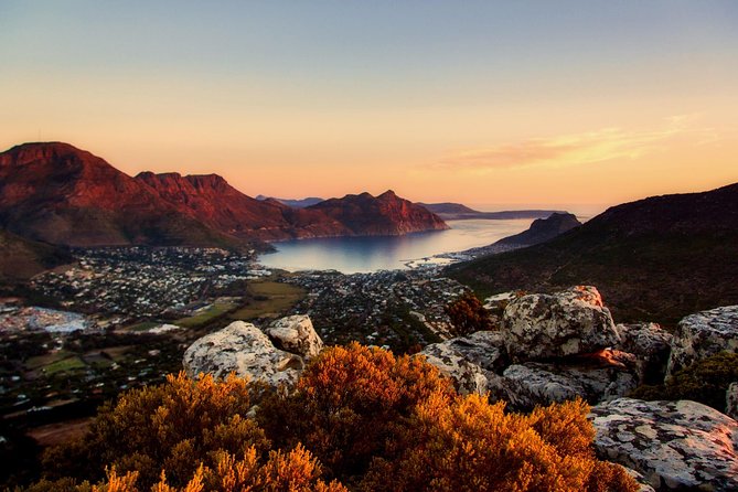 Full-Day Best of the Cape, Peninsula, Cape Point and Stellenbosch Tour - Cape Point gives you the day’s best walking time